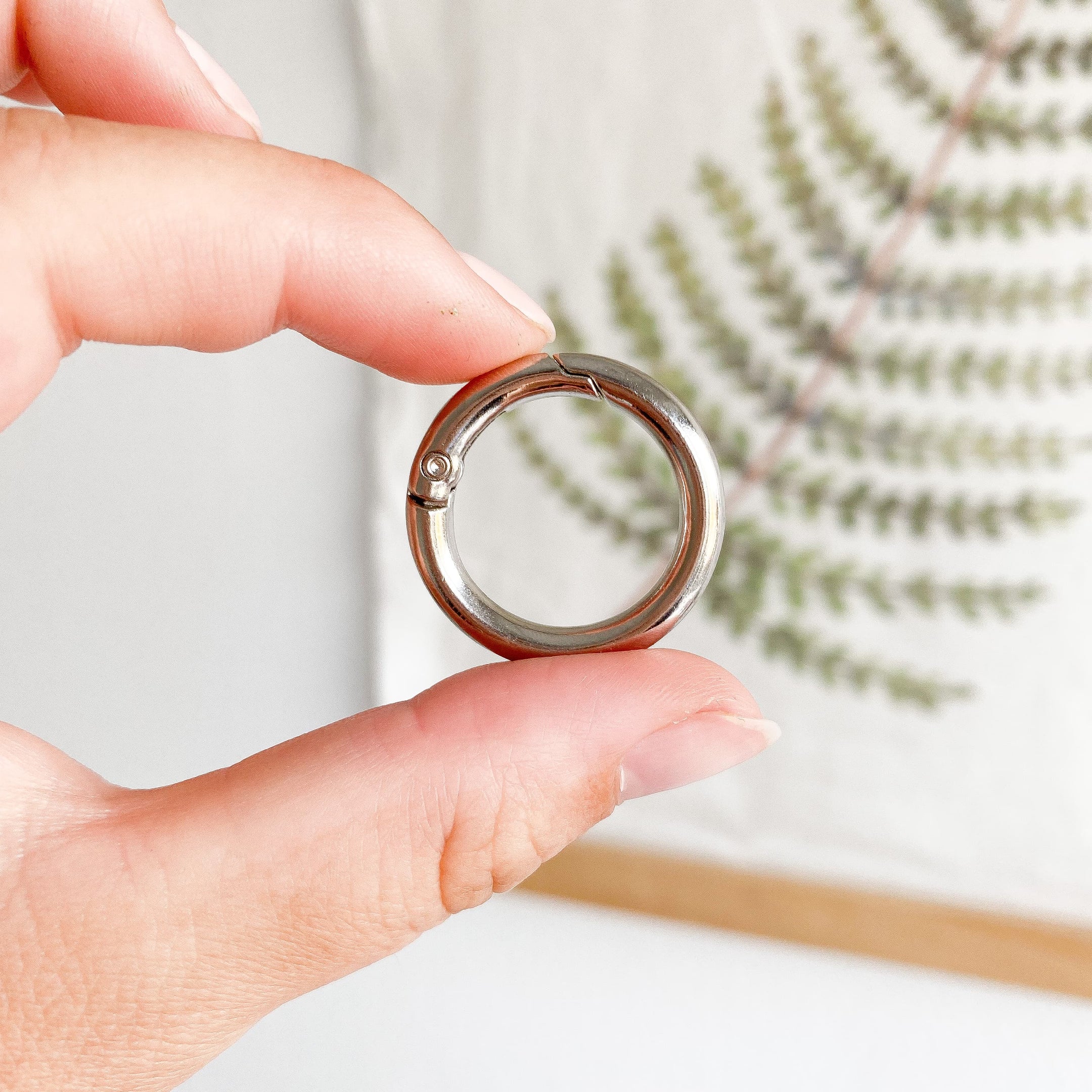 Add-on - Coloured Ring Carabiner