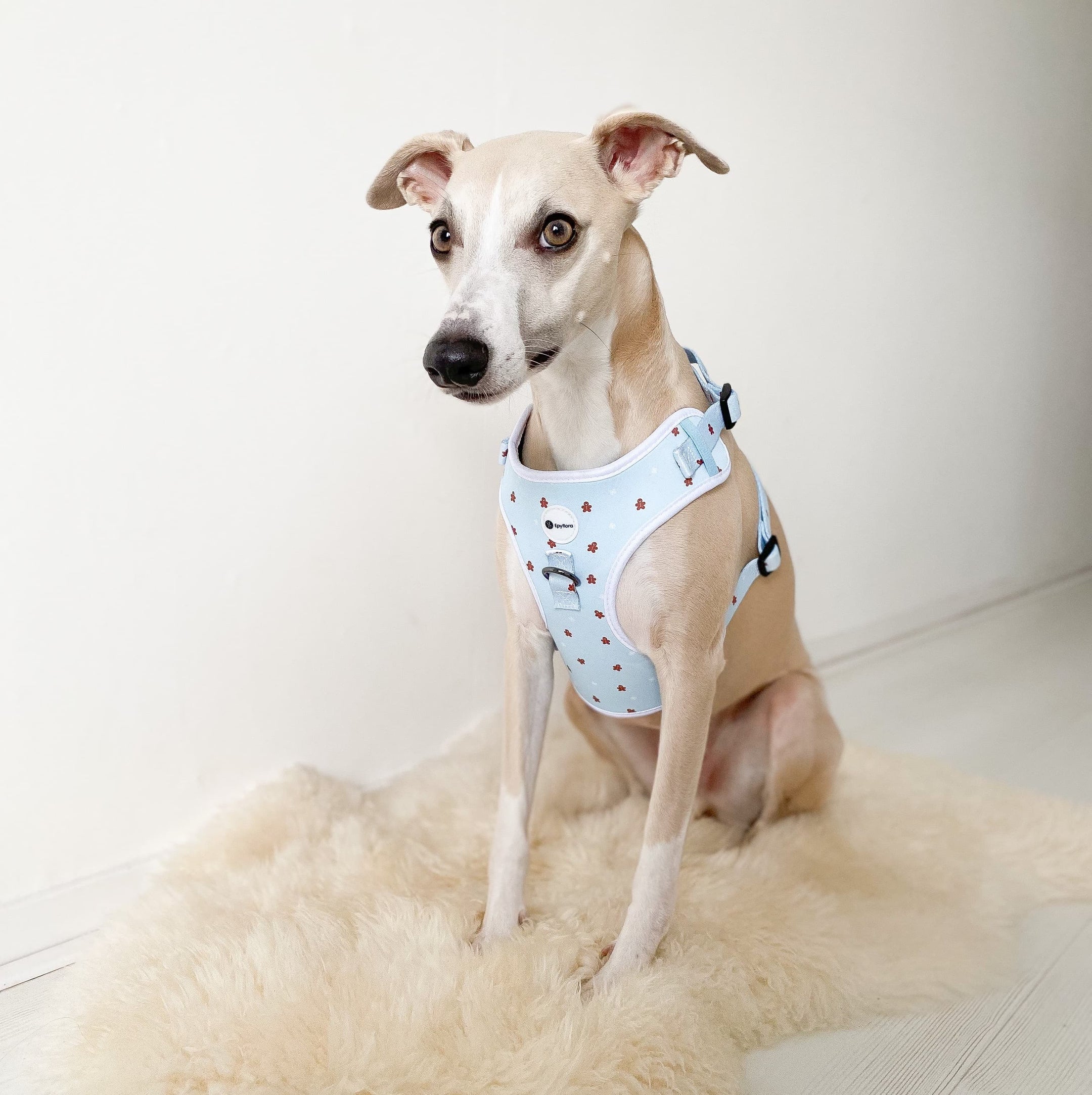 Epyflora Harness - Winter Wonderland