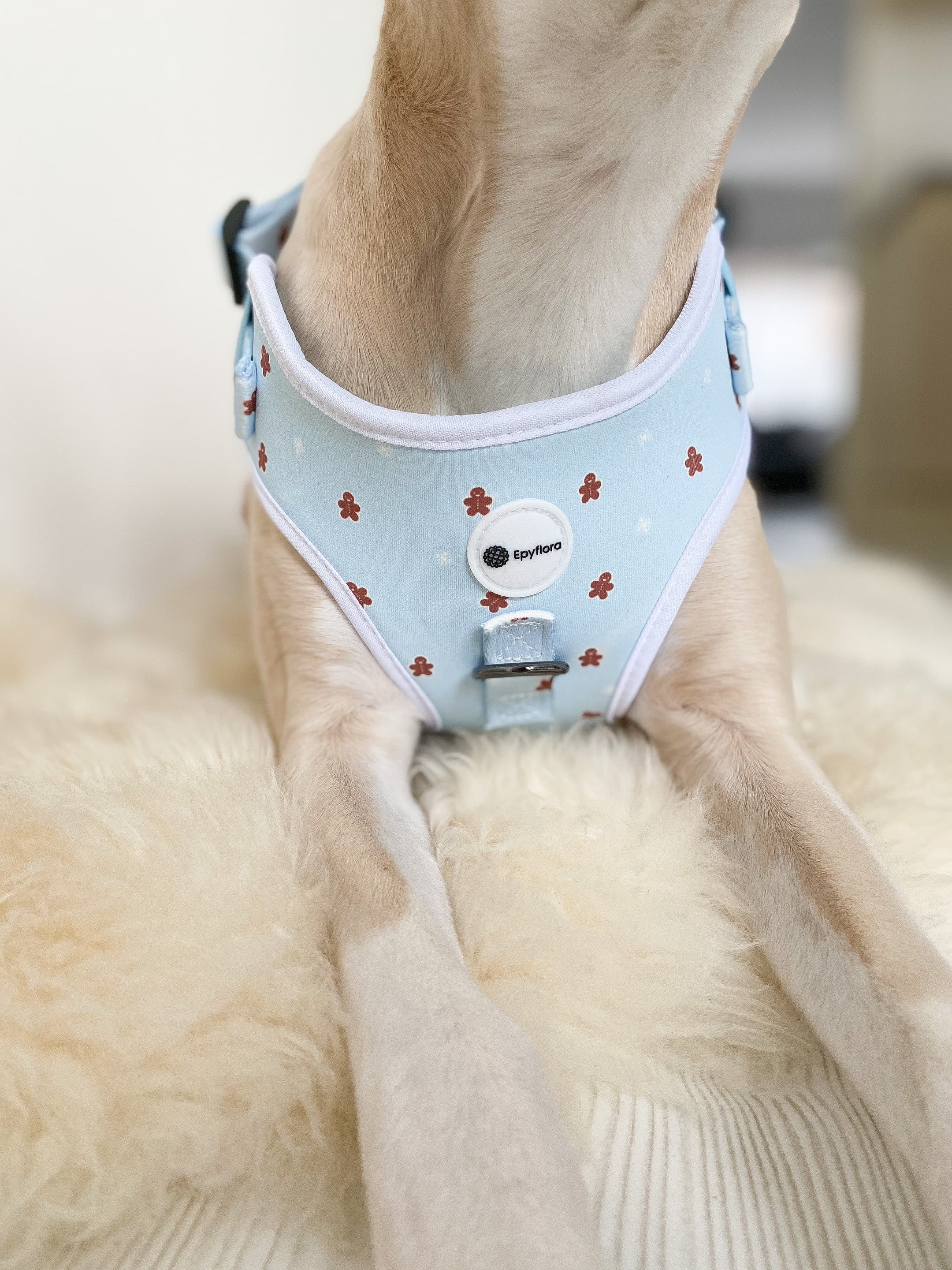 Epyflora Harness - Winter Wonderland