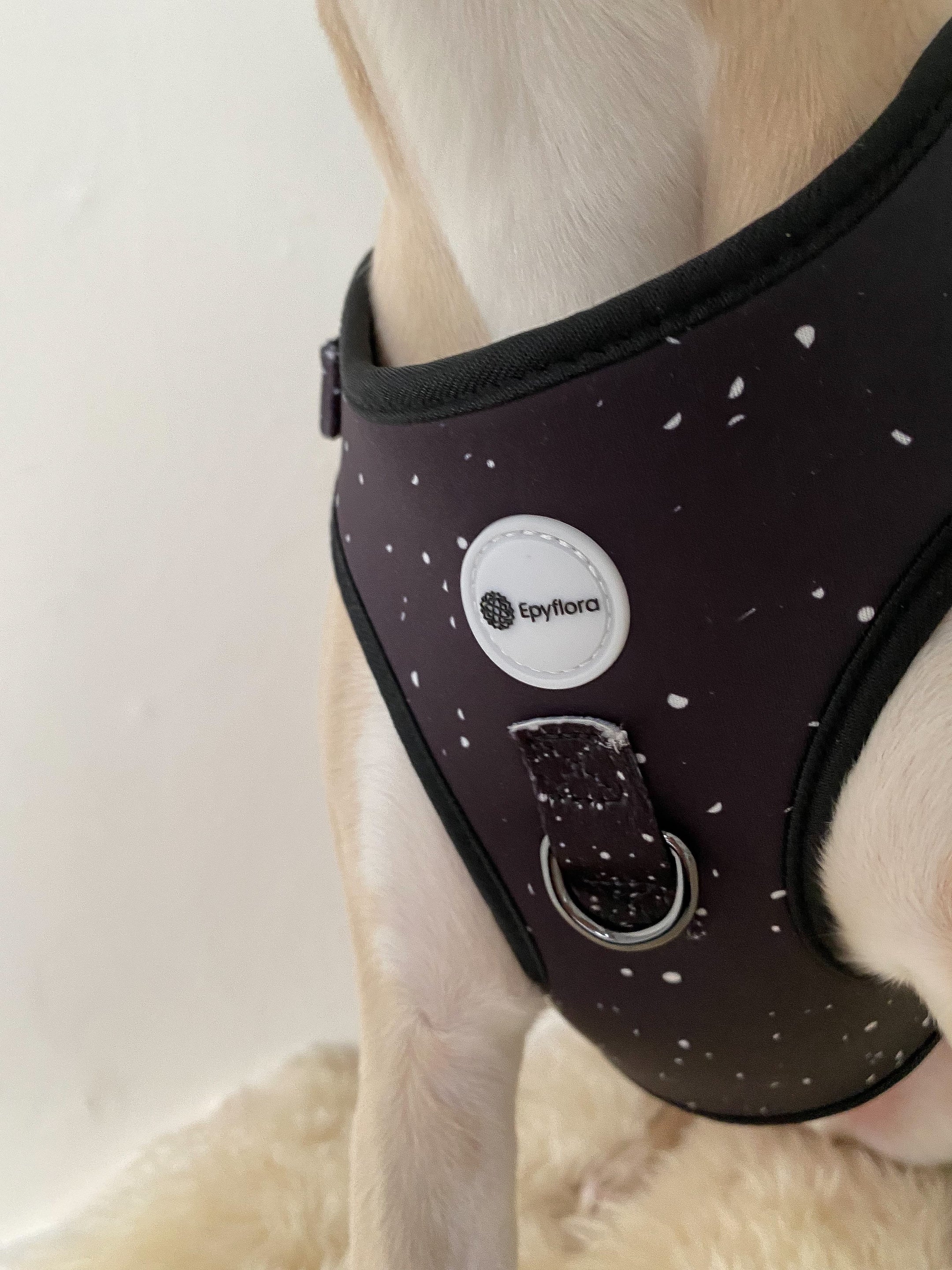 Epyflora Harness - Dotties