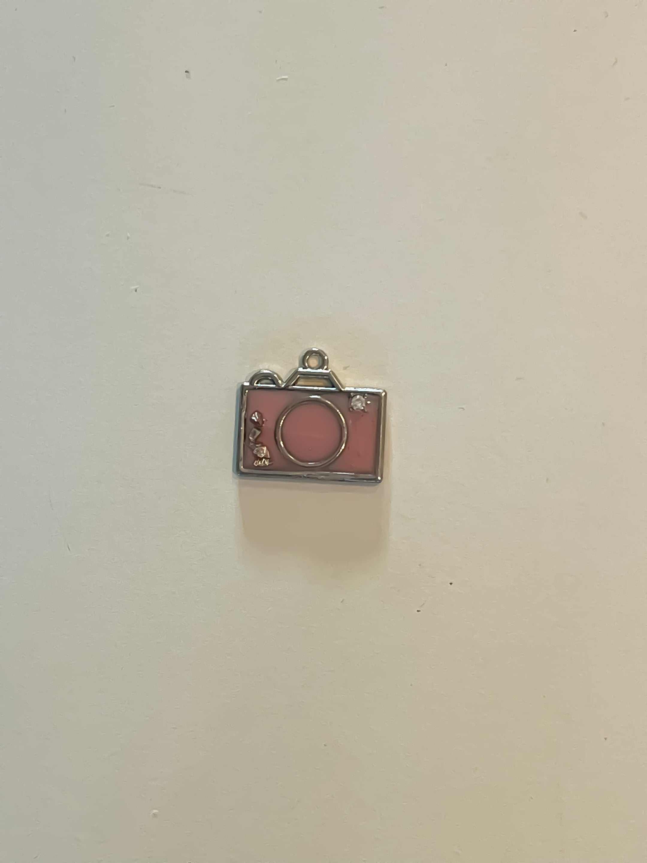 Bark Tag 00047 - Camera Bezel