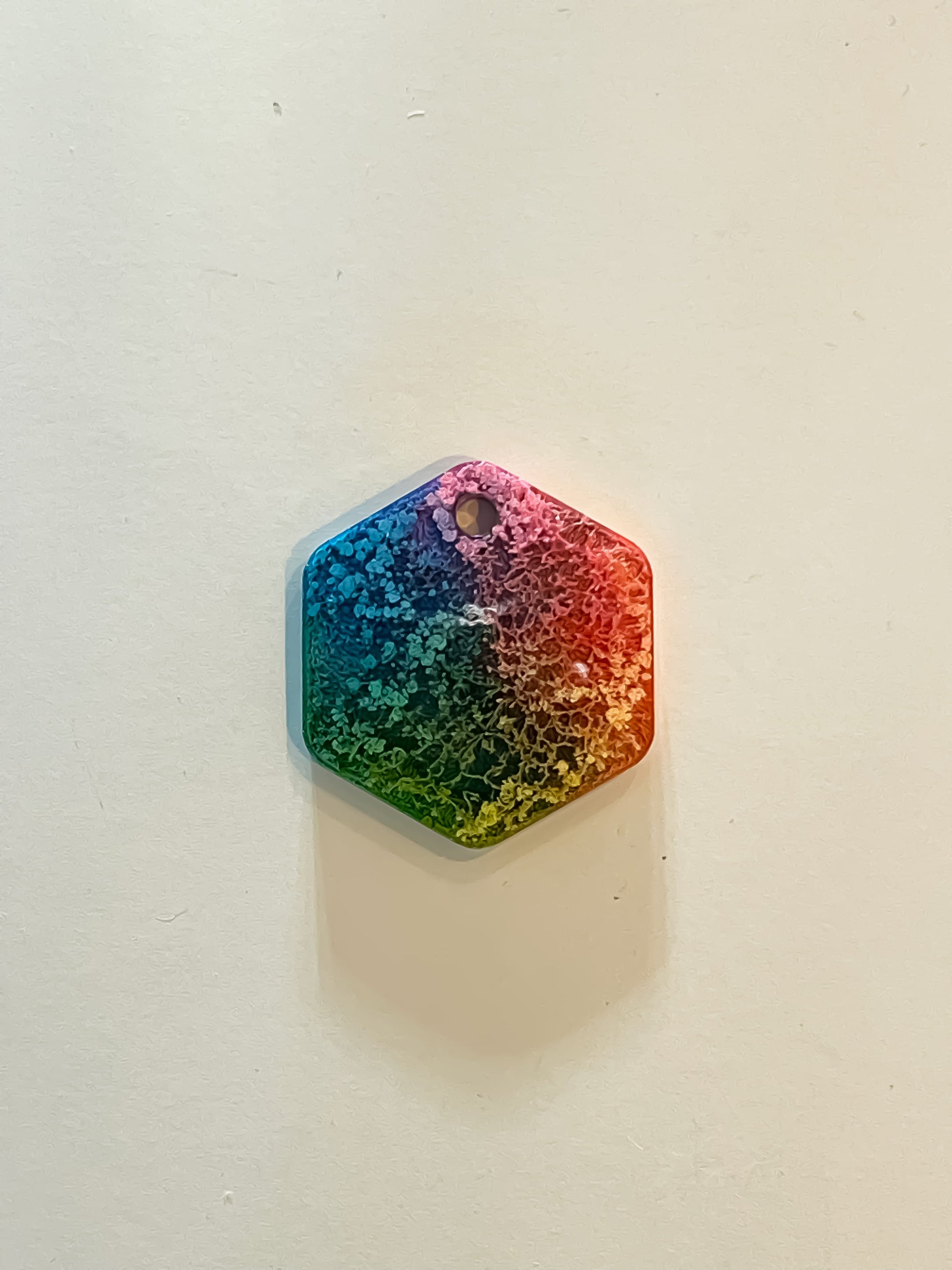 Bark Tag 00064 - Large Rainbow Hexagon