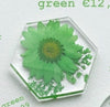 Load image into Gallery viewer, Epyflora Hexagon Tag - green flower