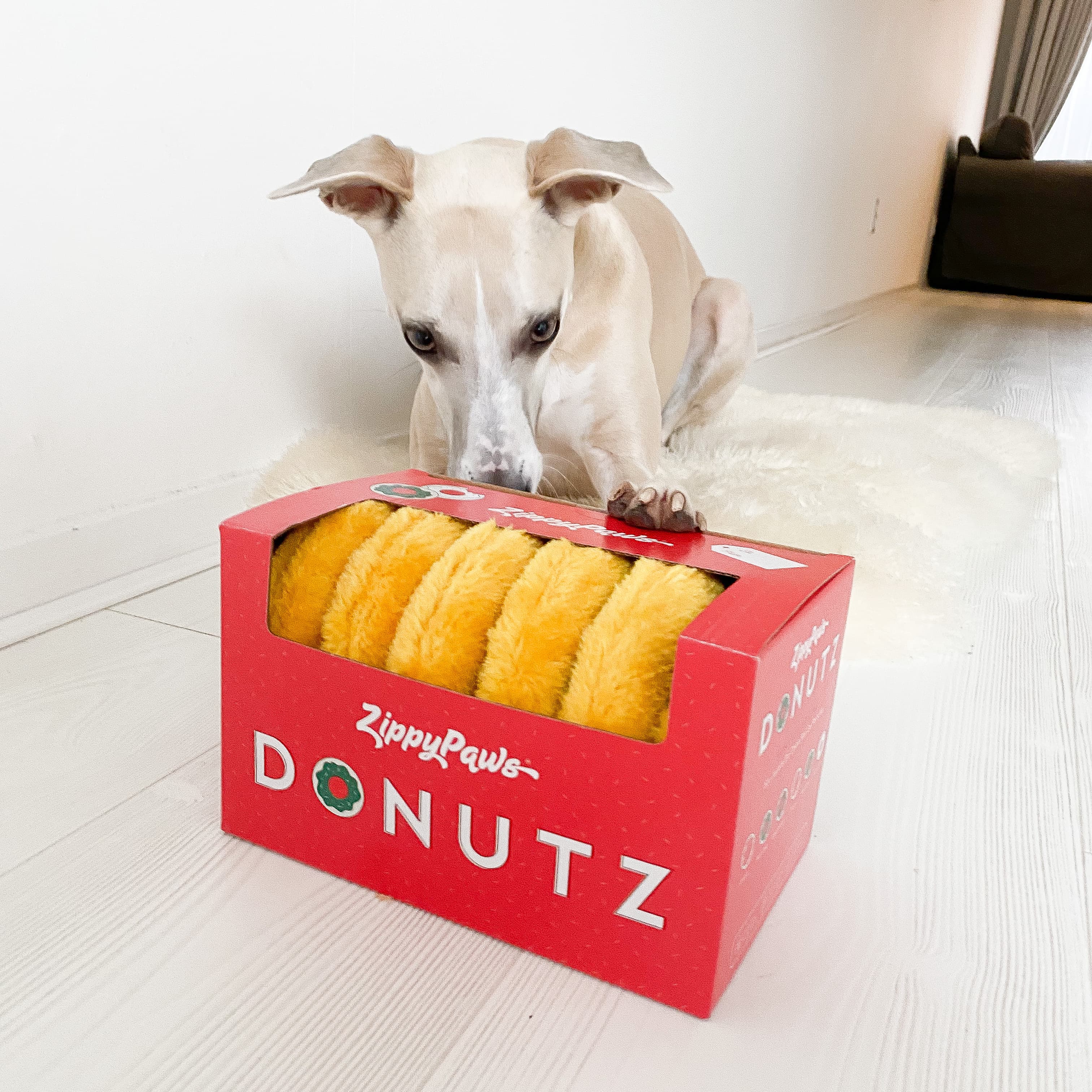 ZippyPaws - Holiday Donutz Gift Box