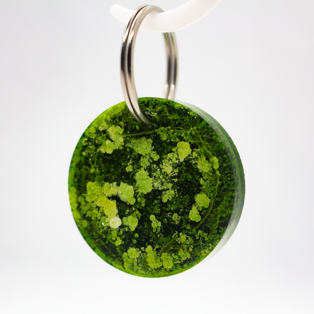 Epyflora Ink Tag - Green