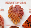 Autumn Stera Custom Tag - Medium
