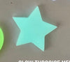 Load image into Gallery viewer, Tuqoise Star Medium Custom Tag - Medium